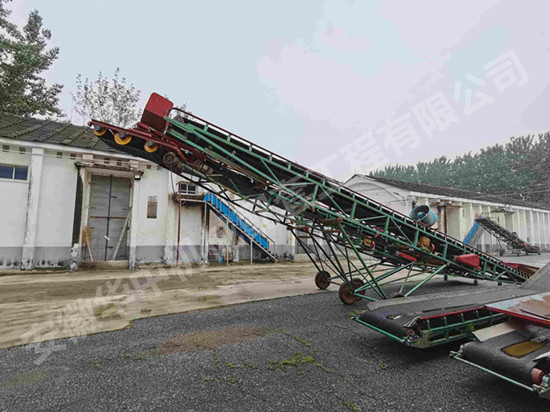 Mobile packaged and bulk grain belt conveyor in local grain depot