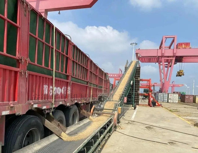 粮食卸车输送机图片